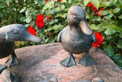 Haus Merzenich - 520.000&euro; | Angebot:24875528