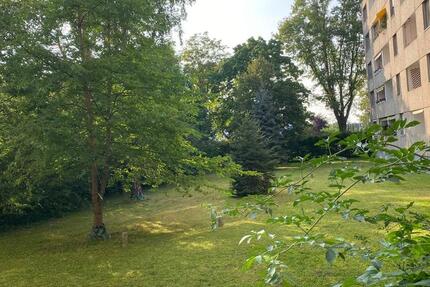 Wohnung Bonn Auerberg - 1 Zimmer, 44 m&sup2;, 750&euro; | Angebot:26545982