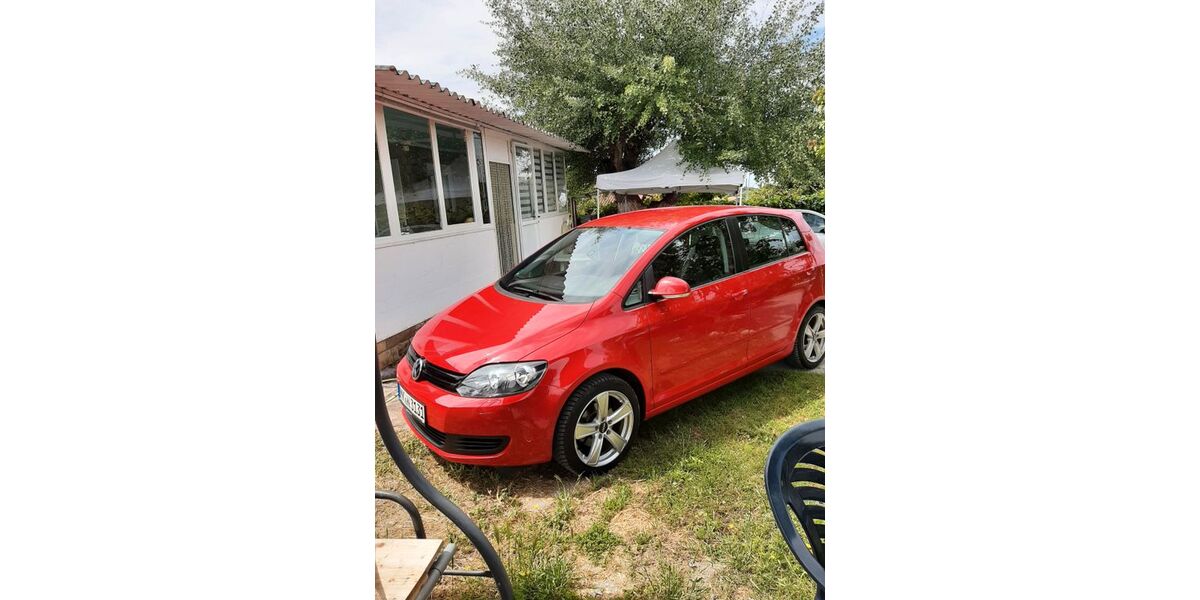 VW Golf Plus 116.000 km 8.100 &euro; Leverkusen 51381