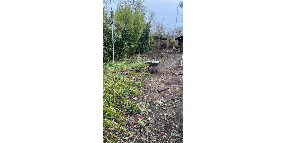 Doppelhaushälfte Kerpen Balkhausen - 3 Zimmer, 80 m&sup2;, 275.000&euro; | Angebot:26119820