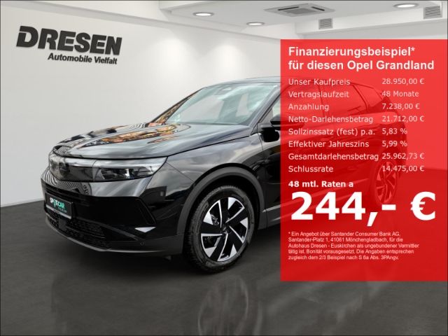 Opel Grandland (X) 12.030 km 28.950 &euro; Euskirchen 53881