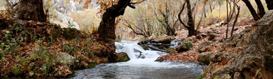 Wassererlebnispark Gymnicher Mühle Erftstadt Naturparkzentrum Erft Familie