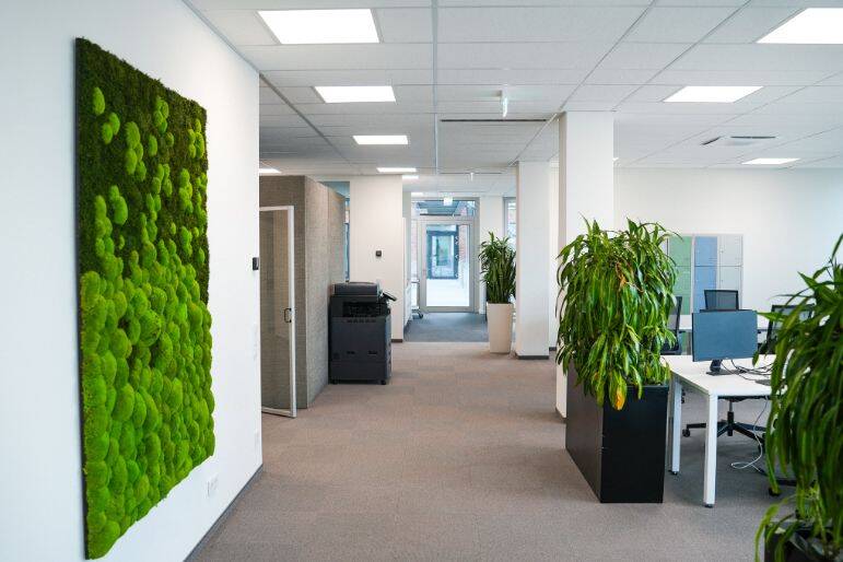 Gewerbeobjekt Frechen Hücheln - 199&euro; | Angebot:26060387