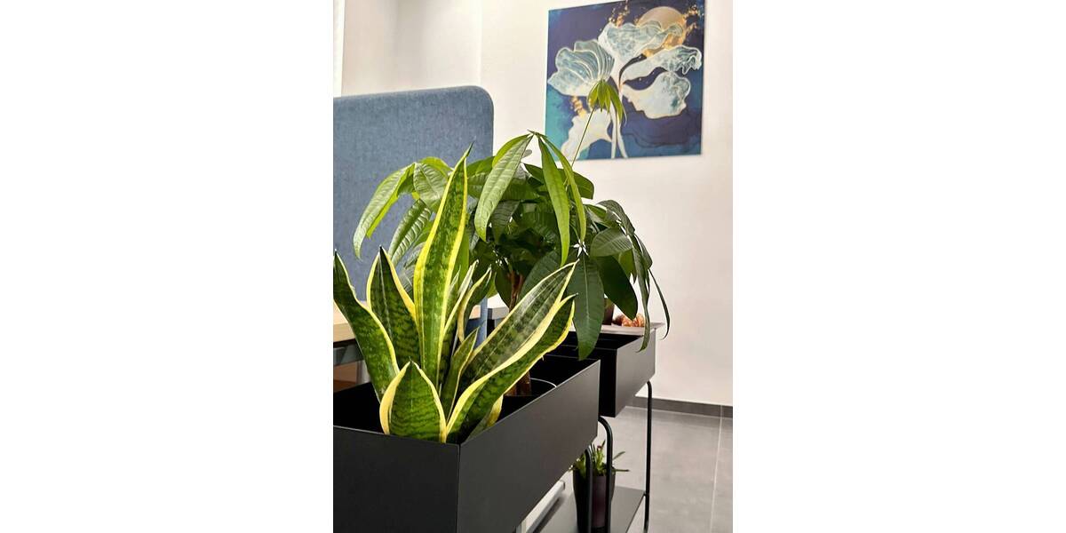 Gewerbeobjekt Brühl - 1.350&euro; | Angebot:26161476