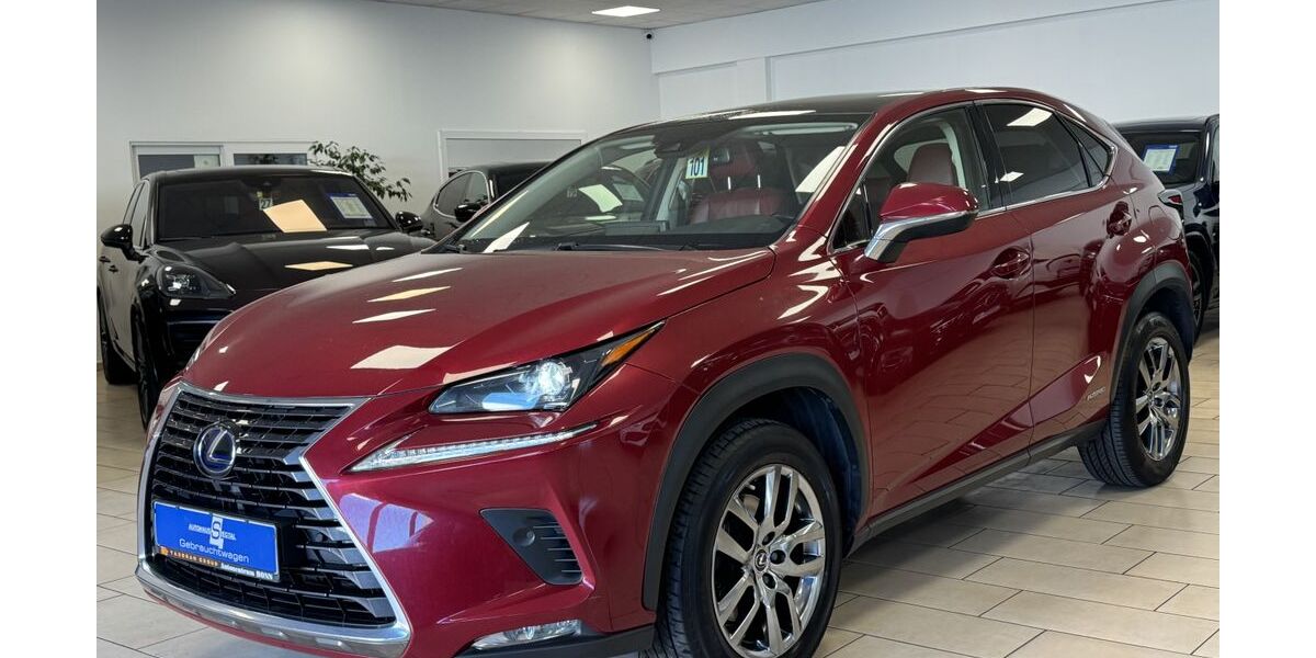 Lexus NX 300 198.498 km 24.500 &euro; Bonn 53227