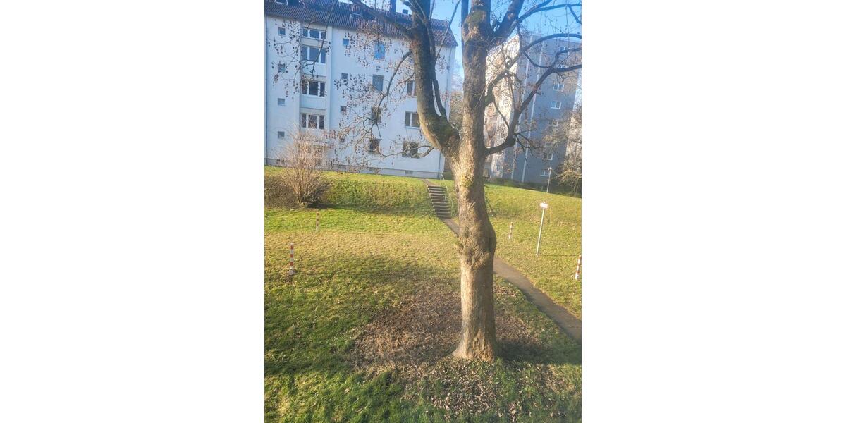 Etagenwohnung Köln Innenstadt - 2 Zimmer, 60 m&sup2;, 900&euro; | Angebot:25911818