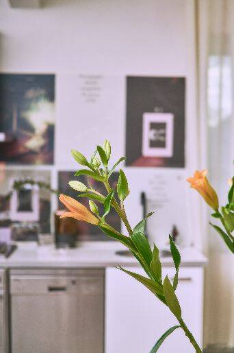 Gewerbeobjekt Köln Bickendorf - 340&euro; | Angebot:25977737