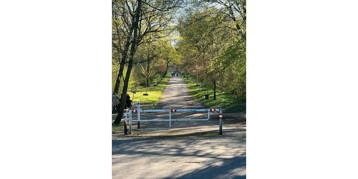 Etagenwohnung Köln Innenstadt - 2 Zimmer, 60 m&sup2;, 900&euro; | Angebot:25911818