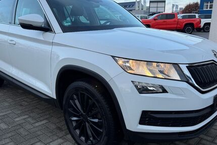 Skoda Kodiaq 189.645 km 13.999 &euro; Rheinbach 53359