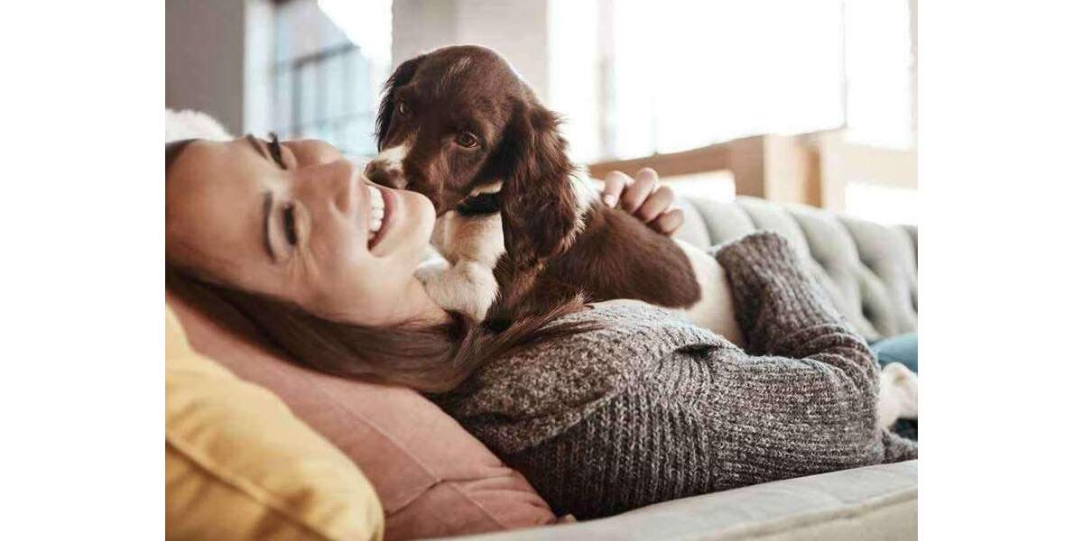 Einfamilienhaus Elsdorf Esch - 4 Zimmer, 160 m&sup2;, 315.999&euro; | Angebot:25683366