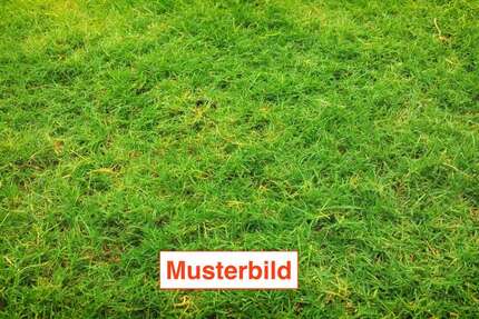 Grundstück Sankt Augustin - 305.000&euro; | Angebot:26094518