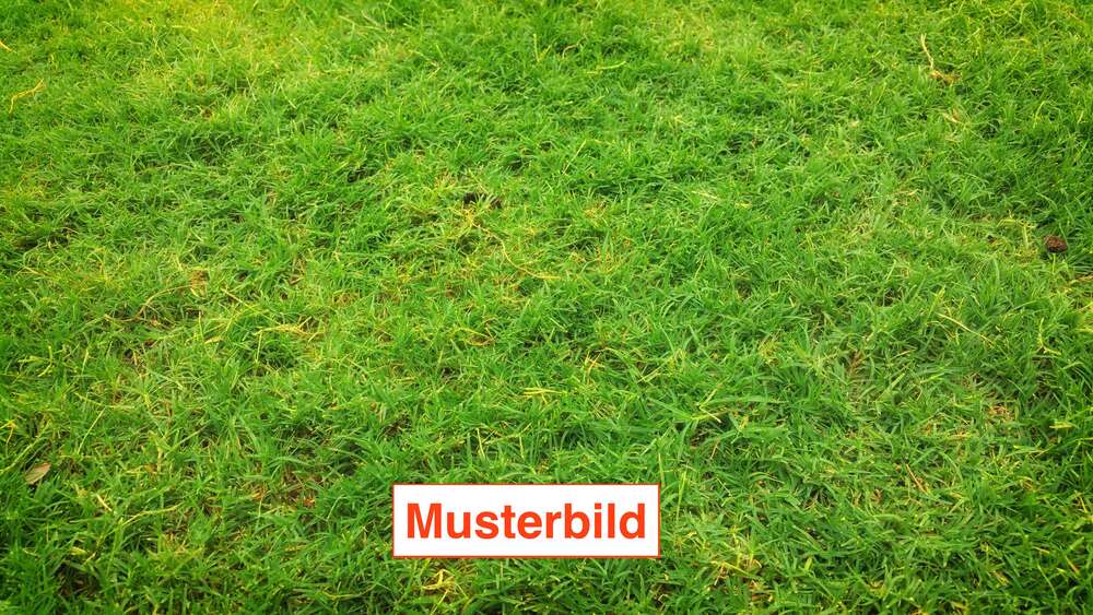 Grundstück Sankt Augustin - 305.000&euro; | Angebot:26094518