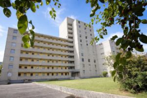 Schick Wohnen im Bonner Norden - 3 Zimmer Wohnung mit Balkon und Weitblick - 3- Bonn Bad Godesberg | Angebot:26498781