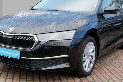 Skoda Octavia 27.300 km 30.890 &euro; Meckenheim / Bonn 53340
