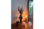 Hochparterre Köln Rodenkirchen - 1 Zimmer, 22 m&sup2;, 150&euro; | Angebot:26551125