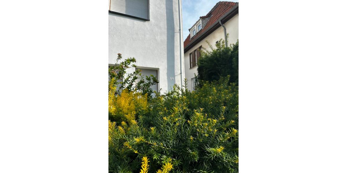 Einfamilienhaus Düren Distelrath - 8 Zimmer, 165 m&sup2;, 375.000&euro; | Angebot:27096795