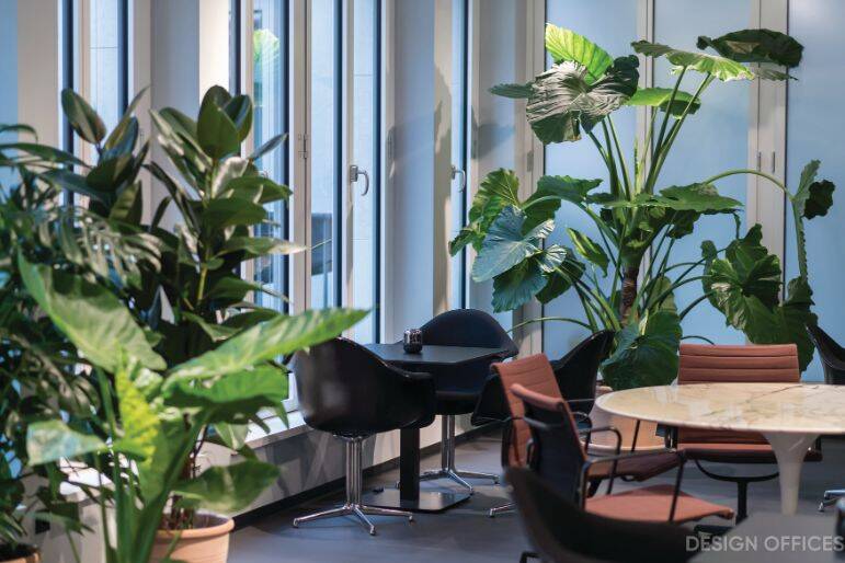 Gewerbeobjekt Bonn Zentrum - 2.400&euro; | Angebot:25718371