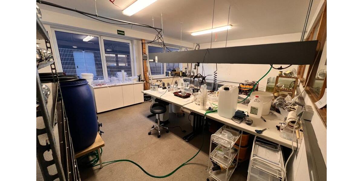 Gewerbeobjekt Rheinbach - 2.692&euro; | Angebot:24222206