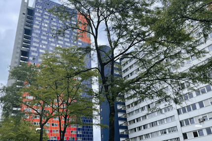 Wohnung Köln Neuehrenfeld - 2 Zimmer, 42 m&sup2;, 150.000&euro; | Angebot:22271196