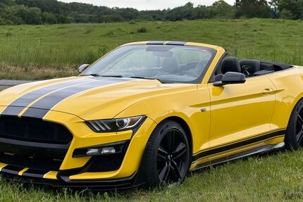 Ford Mustang 109.081 km 21.000 &euro; Leverkusen 51381