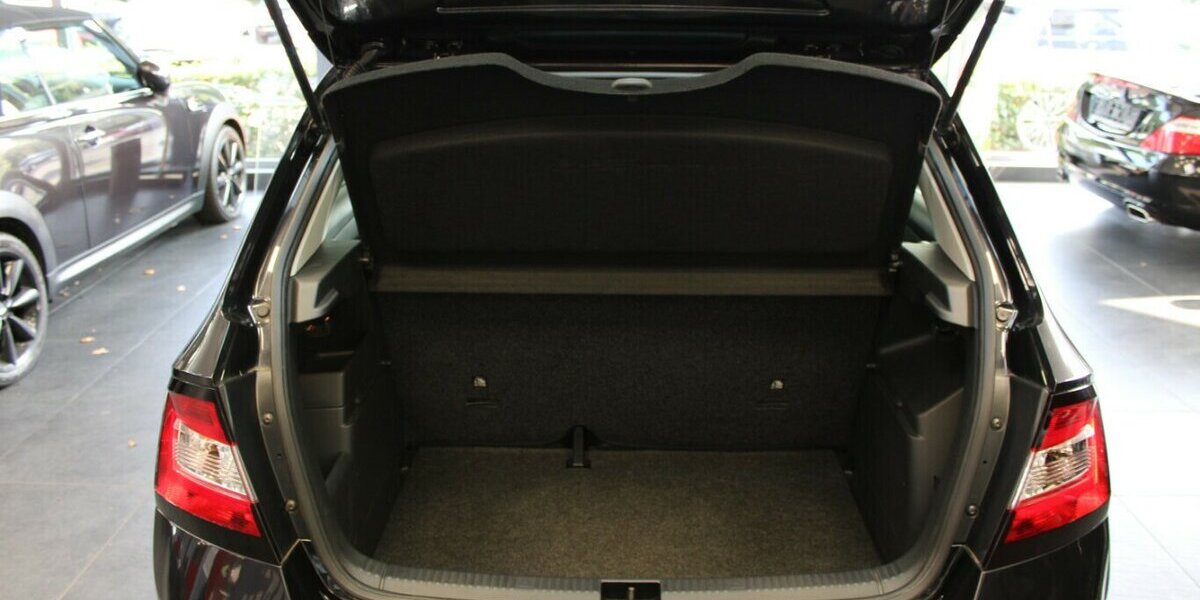 Skoda Fabia 1.0 MPI Cool Edition 66.971 km 7.980 &euro; Euskirchen 53881