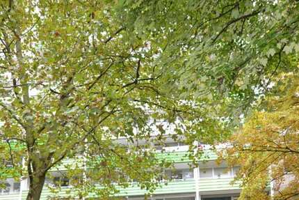 Wohnung Sankt Augustin / Niederpleis Niederpleis - 3 Zimmer, 82 m&sup2;, 165.000&euro; | Angebot:25445873