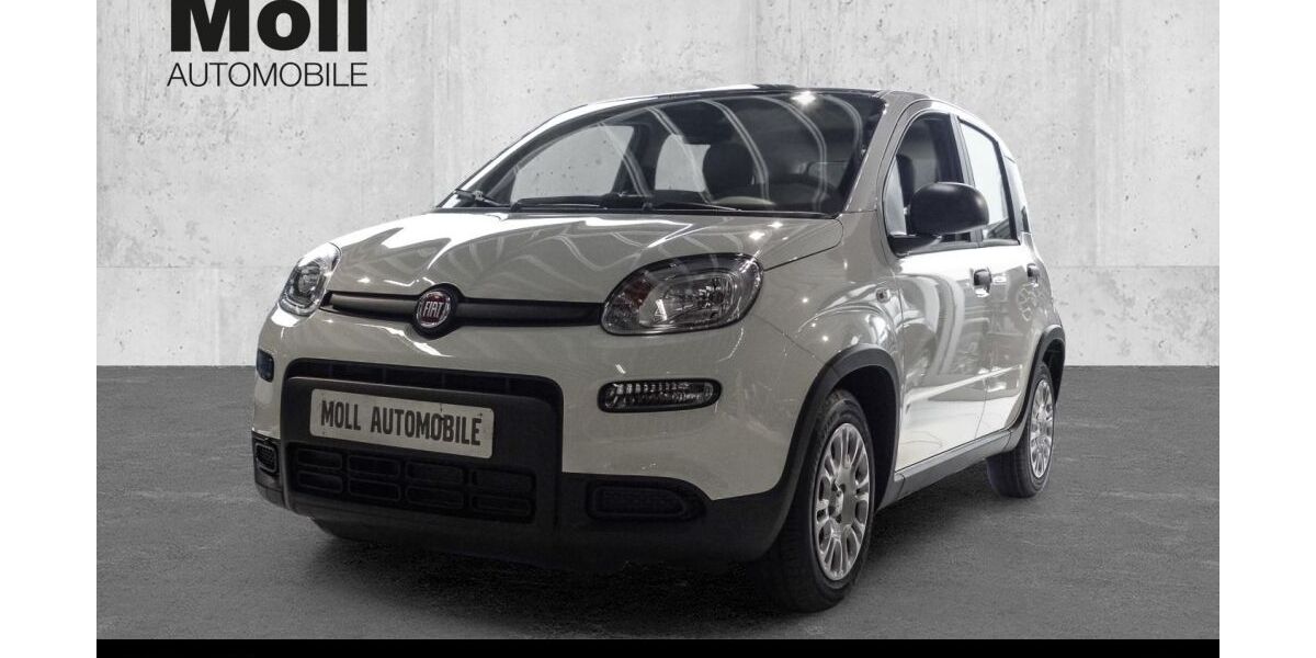 Fiat Panda 10.500 km 12.890 &euro; Köln 50825