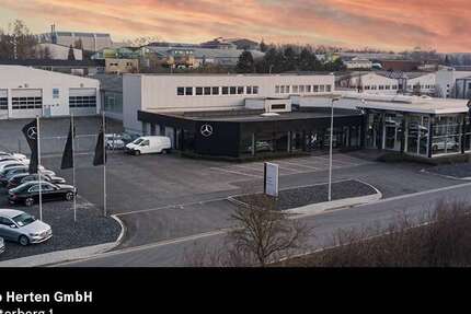 Fiat 500e 46.393 km 19.100 &euro; Mechernich 53894