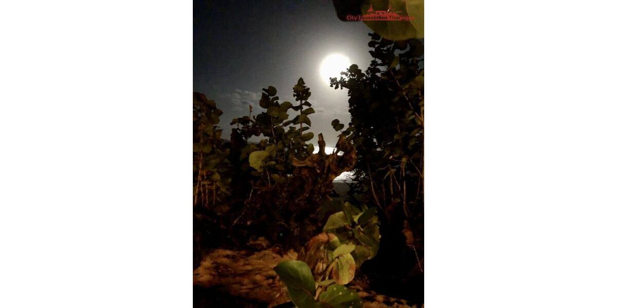 Grundstück in Costa Rica in einer der blauen Zonen der Erde - Grundstück Köln | Angebot:6359382