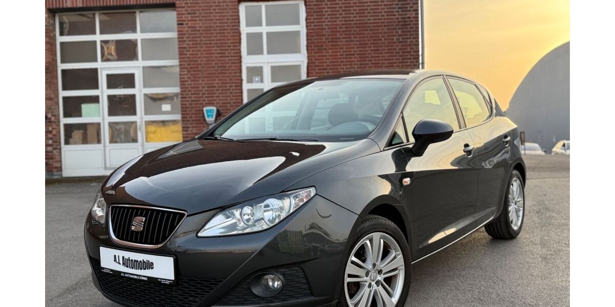 Seat Ibiza 119.077 km 4.490 &euro; Düren 52349