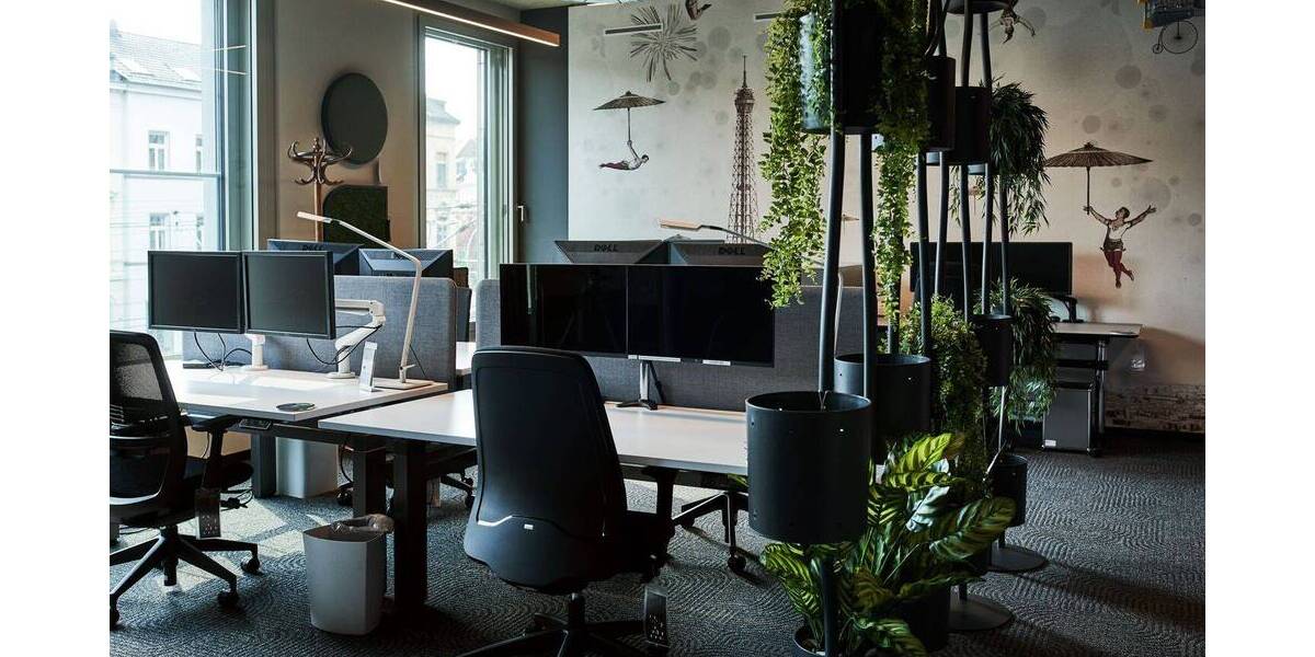 Gewerbeobjekt Bonn Zentrum - 380&euro; | Angebot:25664308