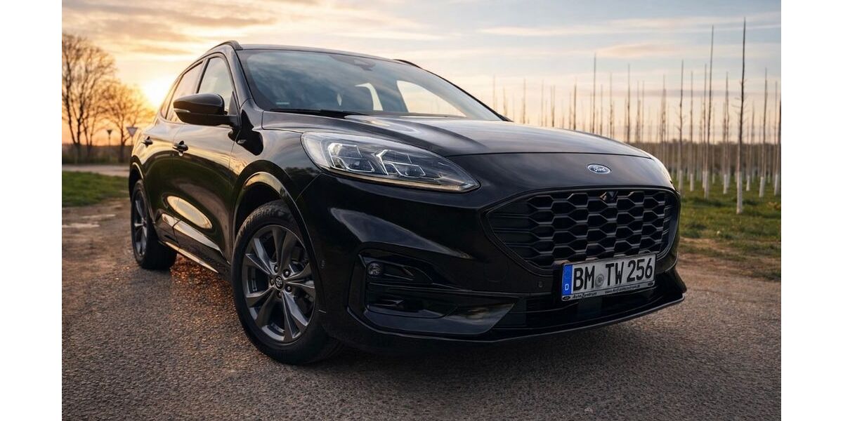 Ford Kuga 71.800 km 17.800 &euro; Bad Münstereifel 53902