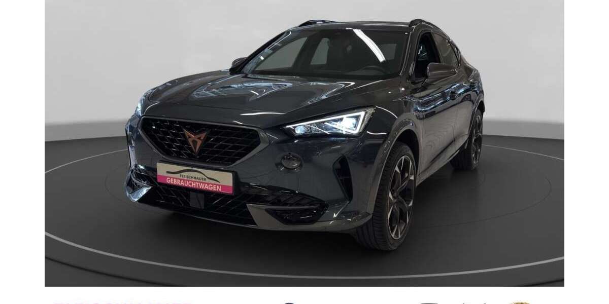 Cupra Formentor 30.246 km 25.980 &euro; Bonn 53119