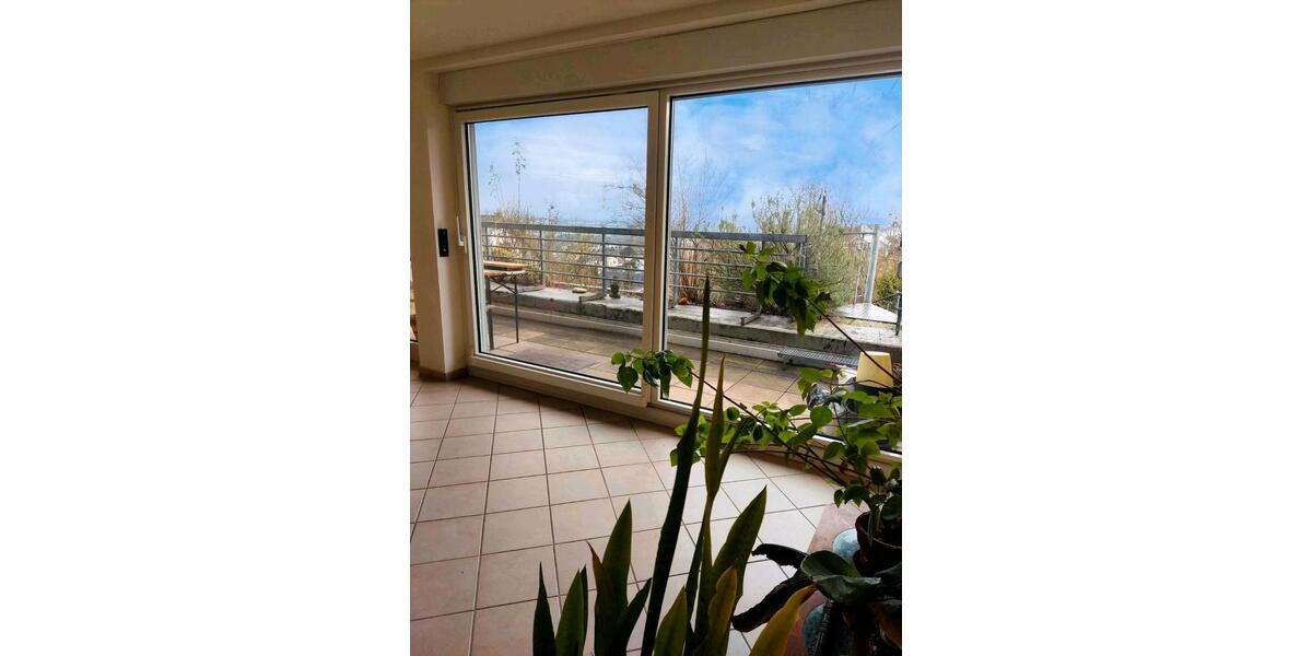 Erdgeschoßwohnung Bornheim - 2 Zimmer, 69 m&sup2;, 740&euro; | Angebot:24870947