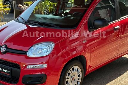 Fiat Panda 65.280 km 6.980 &euro; Frechen 50226