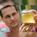 Bienen, die kleinsten Nutztiere