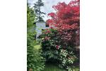 Bungalow Bonn Hardtberg - 5 Zimmer, 110 m&sup2;, 2.500&euro; | Angebot:26591880