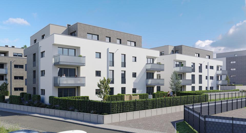 Erdgeschoßwohnung Rheinbach - 2 Zimmer, 68 m&sup2;, 905&euro; | Angebot:26641598