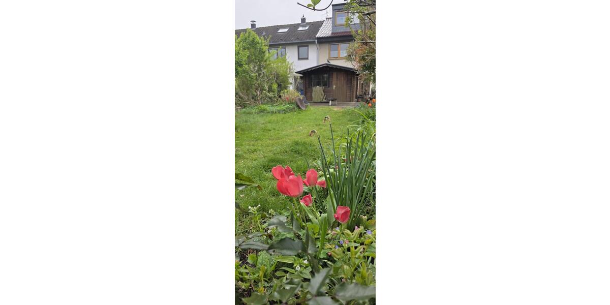 Reihenhaus Bergheim Auenheim - 4 Zimmer, 110 m&sup2;, 1.800&euro; | Angebot:26527667