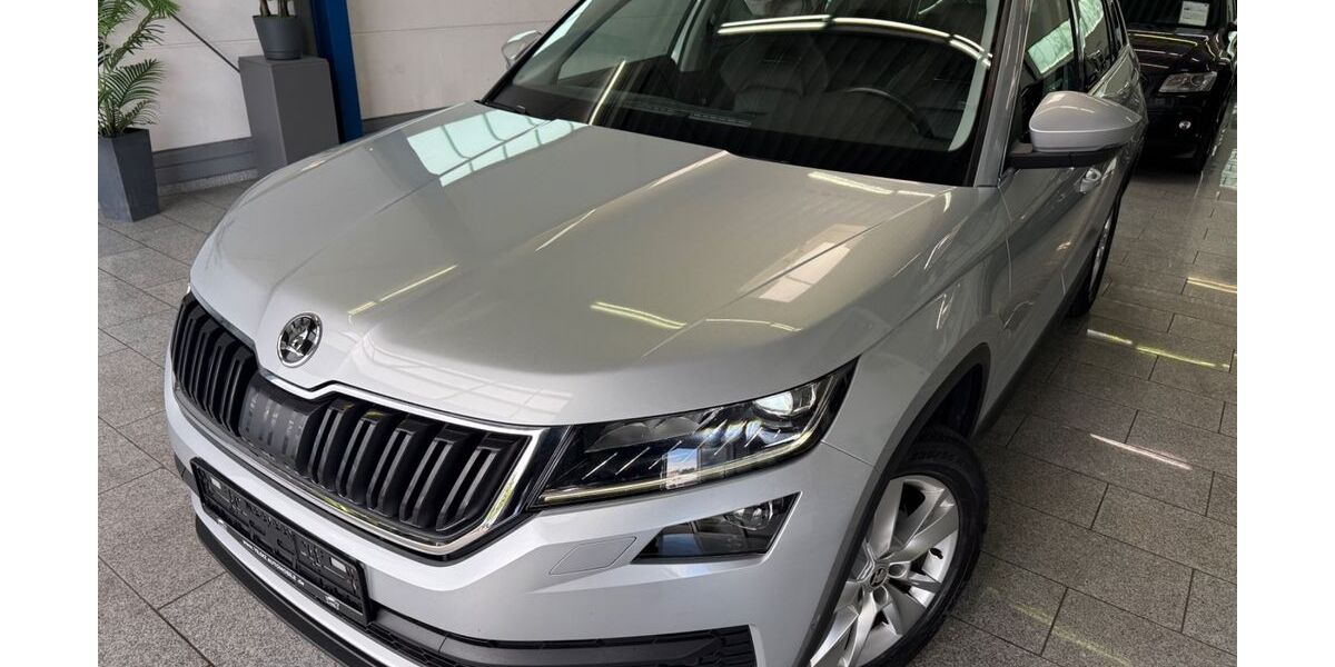 Skoda Kodiaq 168.800 km 21.690 &euro; Köln 50829